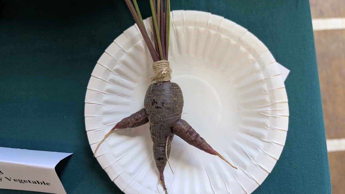 Wonky Veg category